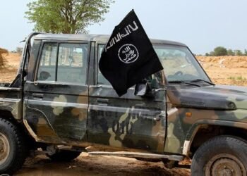 Young Son of Boko Haram Founder Arrested in Chad While Leading Jihadist Cell