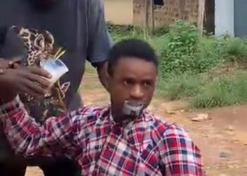 Story: A chief in Osun State forced a boy to drink poison (Gammalin-20 & Sniper) for stealing two fresh pieces of corn