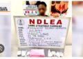 NDLEA detains widow for using fake pregnancy to traffic cocaine in Lagos
