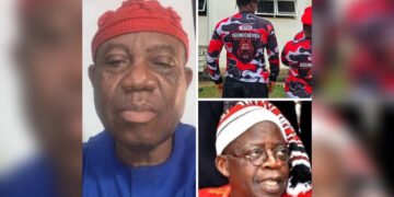 Ohanaeze Ndigbo Asks President Tinubu To Disband Anambra State Vigilante Over Assault On Youth Corper