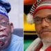 Tinubu’s reelection in South East dependent on Nnamdi Kanu’s release – APC chieftain