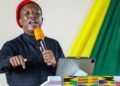 Julius Malema Calls For One Africa: Single President, One Currency, Unified Parliament, And Military At NBA Conference