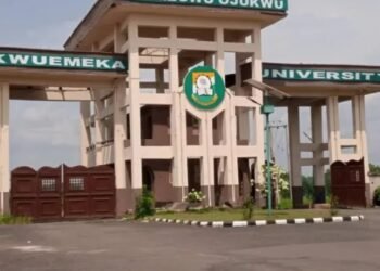 Nullify Omenugha’s appointment as Ojukwu varsity vice-chancellor-Osegbue
