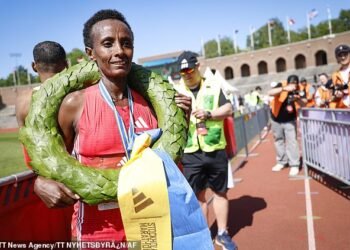 Ethiopian Marathon Star Shewarge Alene Dies Aged 30