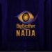 Power Glitch Causes Temporary Halt In Big Brother Naija Transmission