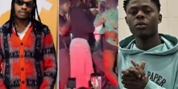 Mohbad Supporter Storms Stage To Confront Naira Marley At Benin Republic Concert