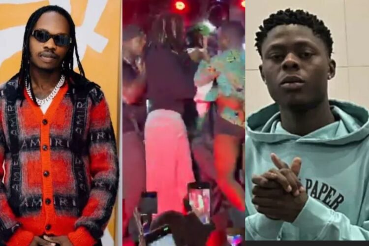 Mohbad Supporter Storms Stage To Confront Naira Marley At Benin Republic Concert
