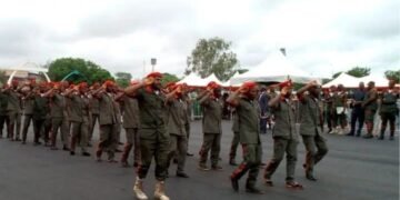Enugu Govt Begins Recruitment Of Forest Guards