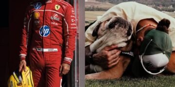 Lewis Hamilton Heartbroken As Beloved Bulldog Roscoe Dies After Short Illness
