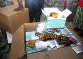 NAFDAC Seizes ₦1.2bn Worth Of Fake Malaria Drugs In Lagos Warehouse Raid