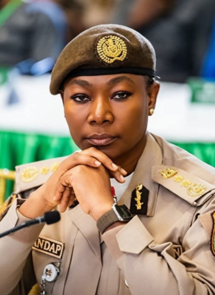 Nigeria Immigration Service Begins Crackdown On Foreigners Who Overstayed Visas Following Amnesty