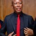 South African Opposition Leader Julius Malema Found Guilty of Gun Law Violations, Faces Up to 15 Years in Prison