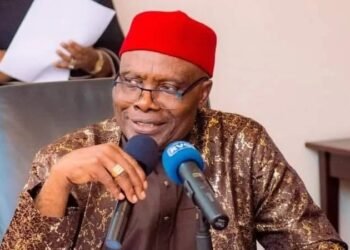 Wabara Demands Immediate Release of Kanu’s Brother, Lawyer, Other Arrested Protesters