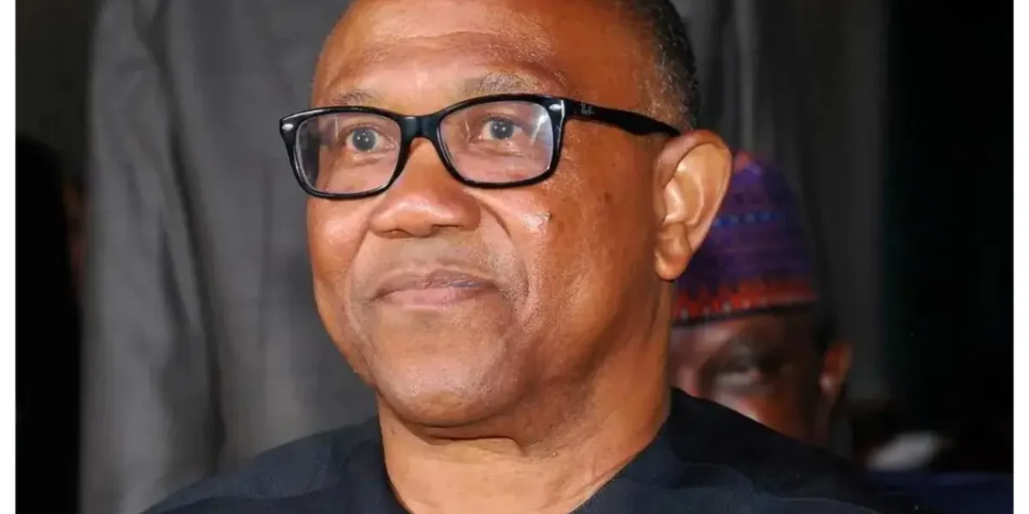 Peter Obi Remains Nigeria’s Only True Opposition Voice – Fayose