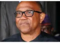 Peter Obi Remains Nigeria’s Only True Opposition Voice – Fayose