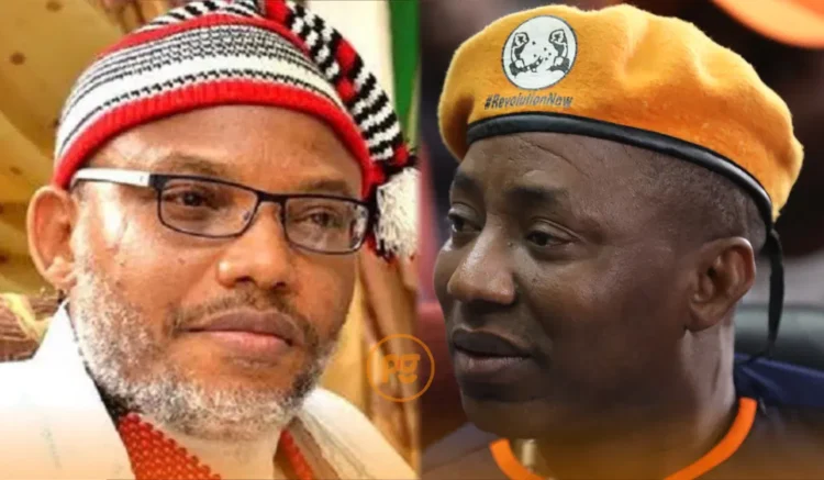 Free Nnamdi Kanu Protest Gains Support As Igbo Leaders Endorse Sowore