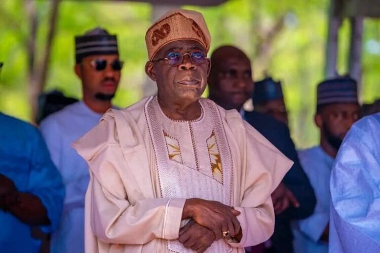 Council of State Approves Presidential Pardon for 175, Including Macaulay, Wole Soyinka