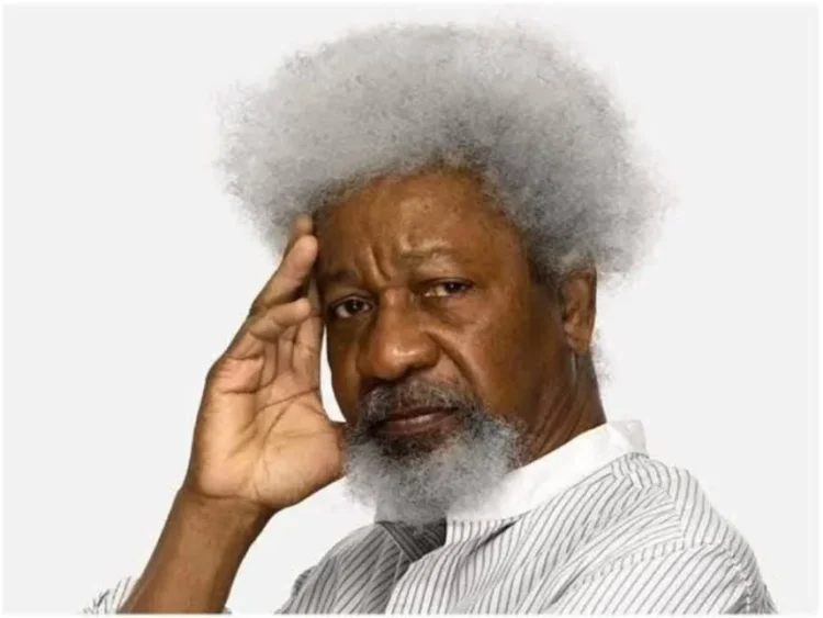 US Revokes Wole Soyinka’s Visa, Barred From Entering Country