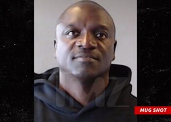Akon Arrested In Georgia Following Discovery Of Suspended License And Bench Warrant