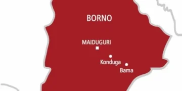 Armed Men Kill Eight, Abduct Three In New Borno Attack