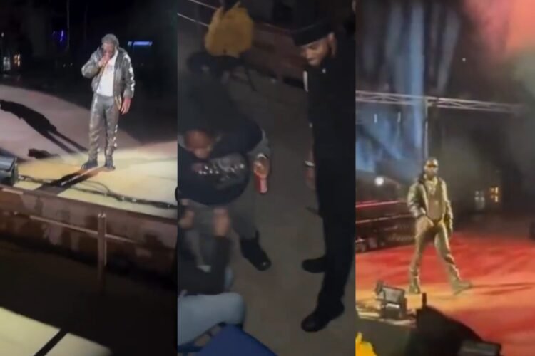 Burna Boy Orders Sleeping Fan And Girlfriend To Leave Colorado Concert Before Resuming Show