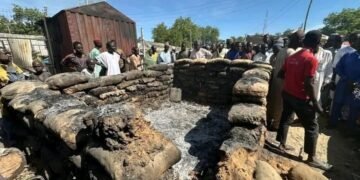 Police Confirm Abduction Of 12 Female Farmers In Borno