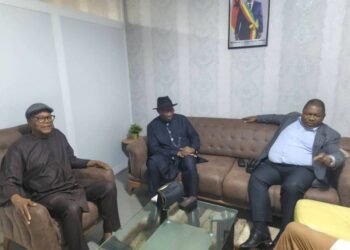 Goodluck Jonathan Stranded In Guinea-Bissau As Military Seizes Power