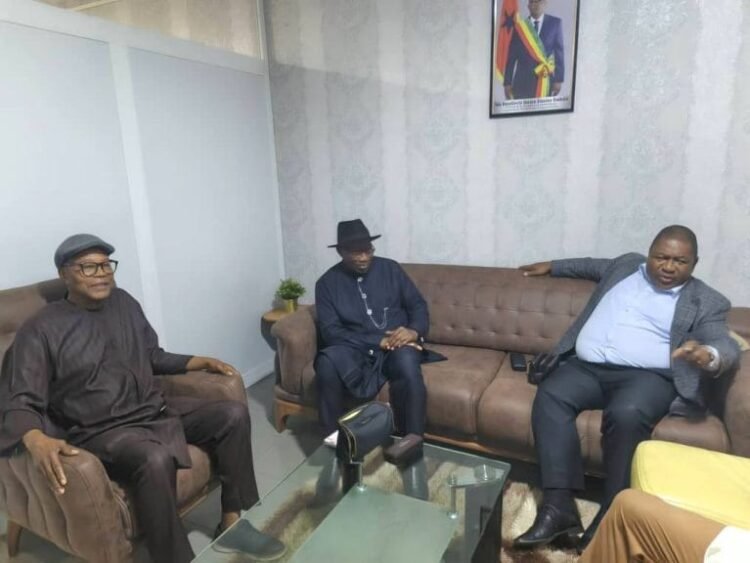 Goodluck Jonathan Stranded In Guinea-Bissau As Military Seizes Power