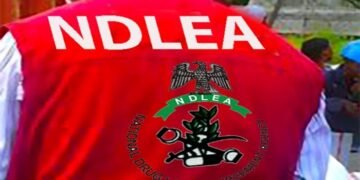 NDLEA Uncovers Secret Drug Lab In Lagos, Makes Major Nationwide Busts