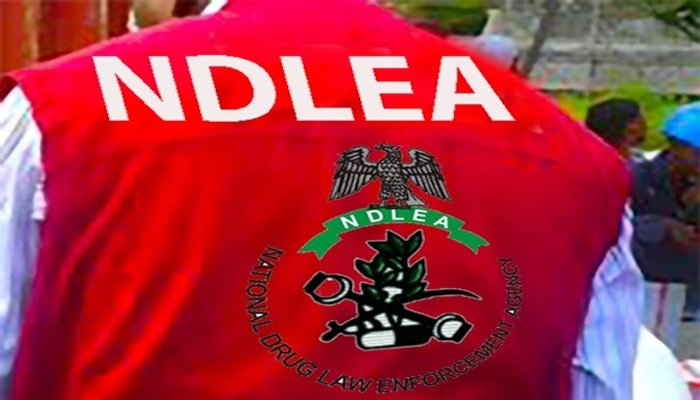 NDLEA Uncovers Secret Drug Lab In Lagos, Makes Major Nationwide Busts