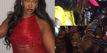 Fan Steals the Spotlight as Tems Giggles After Hand Kiss During Brazil Show