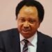 Shehu Sani Warns Nigerians: Leave US Before Trump Arrests You