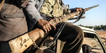 How To End Terrorism In Nigeria Within Weeks – Security Expert