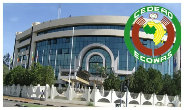 ECOWAS Declares State of Emergency Following Coups and Military Unrest in West Africa