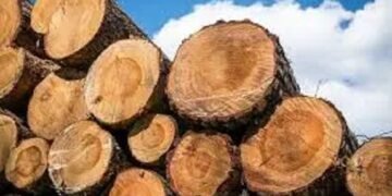 FG Bans Export Of Wood And Allied Products Nationwide, Revokes All Licences