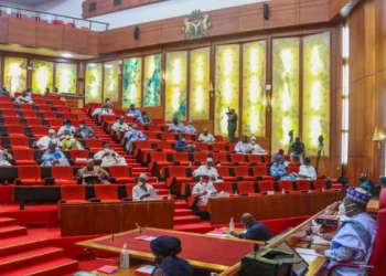 Senate Approves New INEC REC, NERC Commissioners