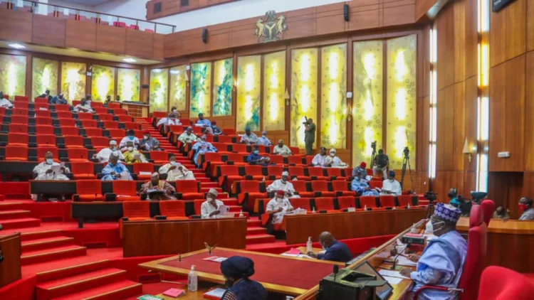 Senate Approves New INEC REC, NERC Commissioners