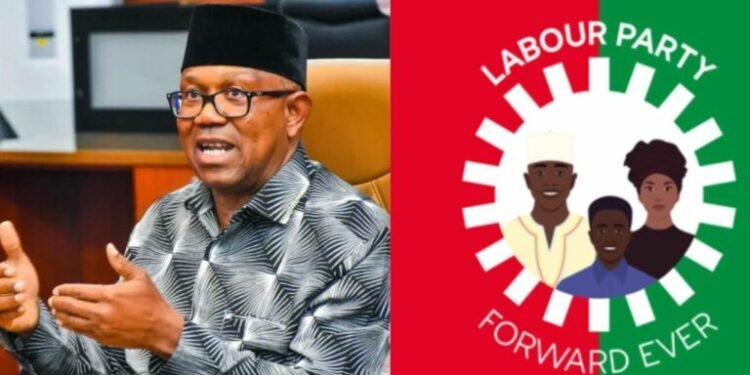 Labour Party Says No Automatic Tickets For 2027, Peter Obi Must Compete In Primaries
