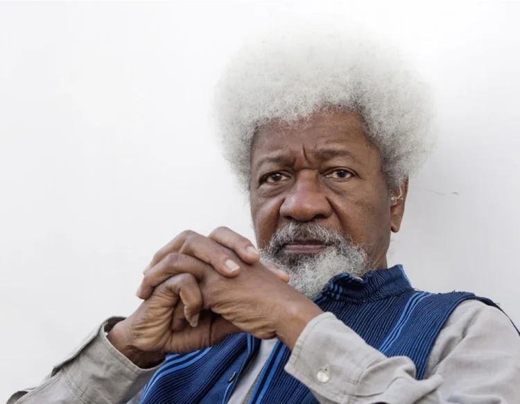 I Reported Seyi Tinubu To NSA Ribadu — Wole Soyinka