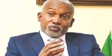 Nigeria Supplied Intelligence, Approved US Airstrike On Terror Targets — Tuggar