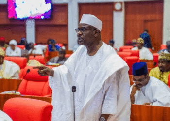 Why I Joined Ambassadorial Screening Despite Objections — Ndume