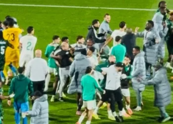 CAF Slaps Algeria With Player Bans and $100,000 Fines After Nigeria Quarter-Final Clashes