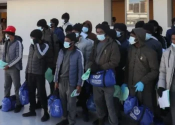 Canada Deports 366 Nigerians, Hundreds More Await Removal