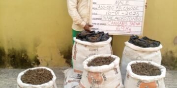 NDLEA Arrests Notorious Drug Kingpin Kanmo-Kanmo After 12 Years On The Run