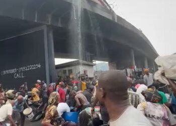 Lagos Bridge Accident Draws Fuel Scoopers