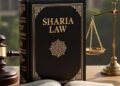 Igbo Union Issues Stark Warning Against Sharia Law 