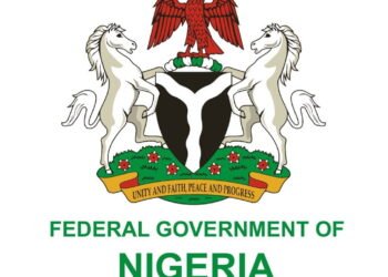 FG Orders Immediate Shutdown Of Mining Site