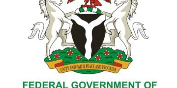FG Orders Immediate Shutdown Of Mining Site