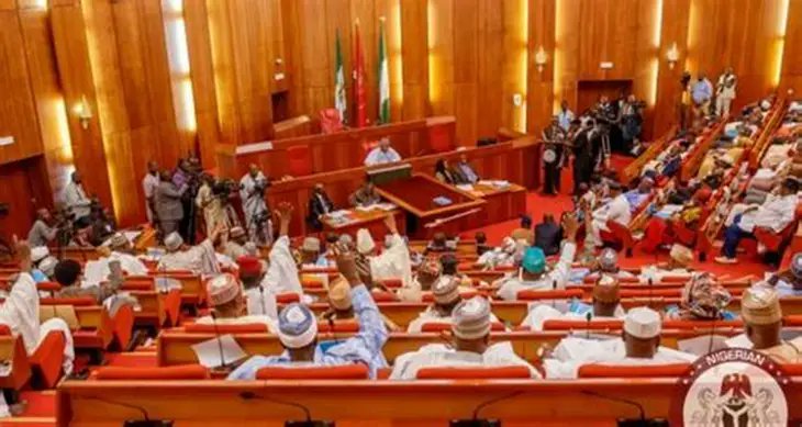 Senate Response On Tinubu’s State Police Plan