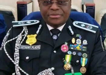 IGP Names New Police PRO